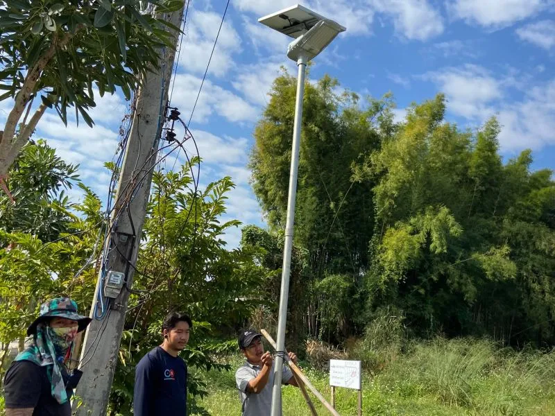 Farm & Barn solar lighting