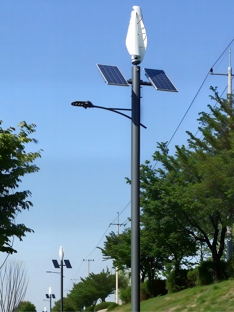 Vertical wind solar hybrid LED street light installation project 3