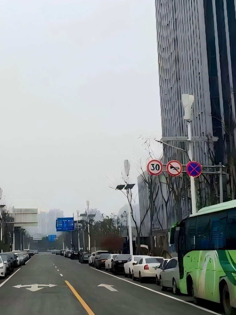 Vertical wind solar hybrid LED street light installation project 5