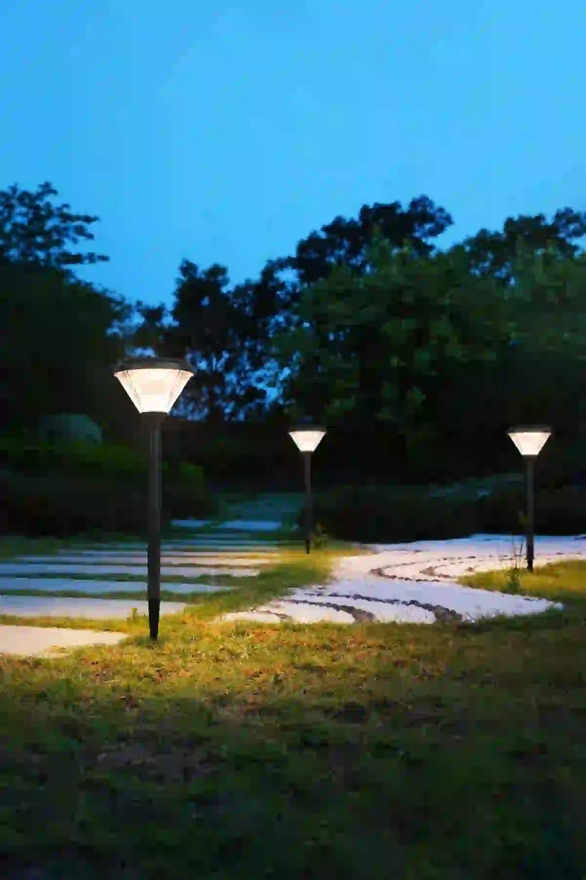 CPD-0804 solar lights along a garden path