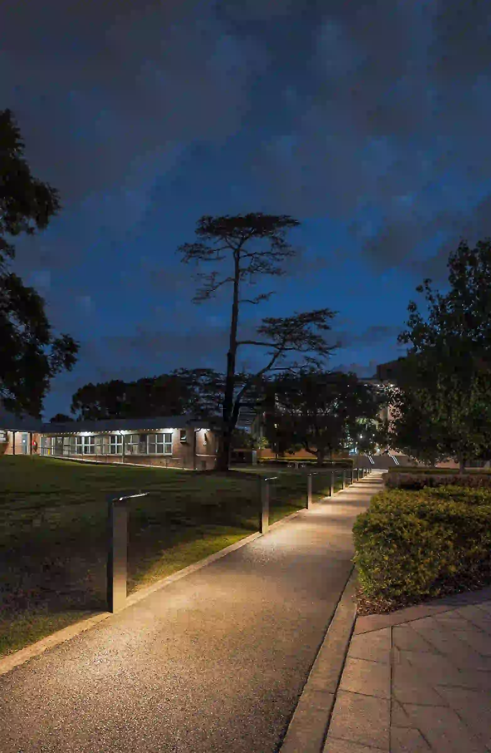 CPD-3008 solar lights lining a landscaped area