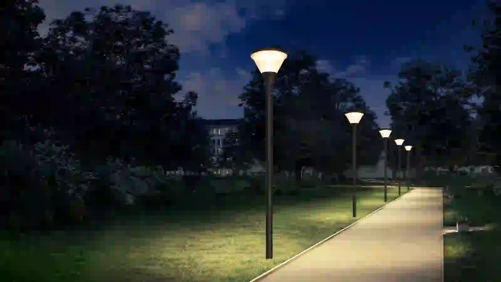 GGD-006 solar light in a planted garden bed