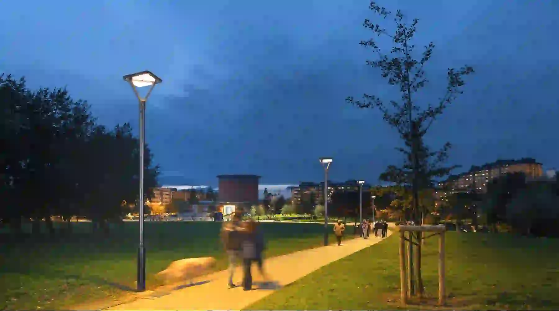 TYD-2403 solar light in a planted garden bed