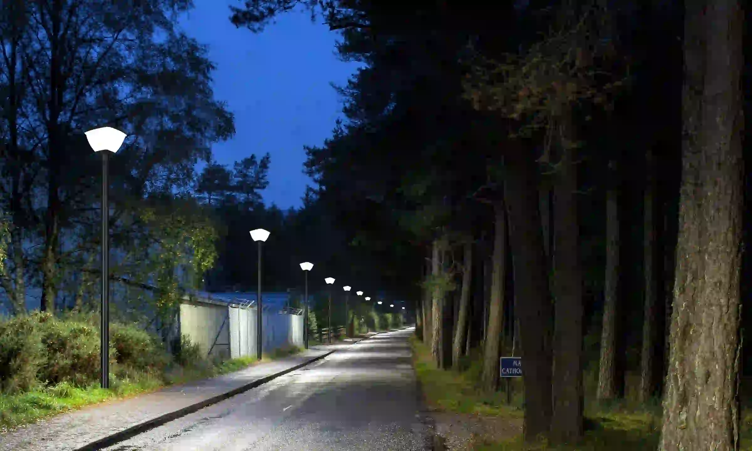 TYD-2508 solar lights lining a landscaped area