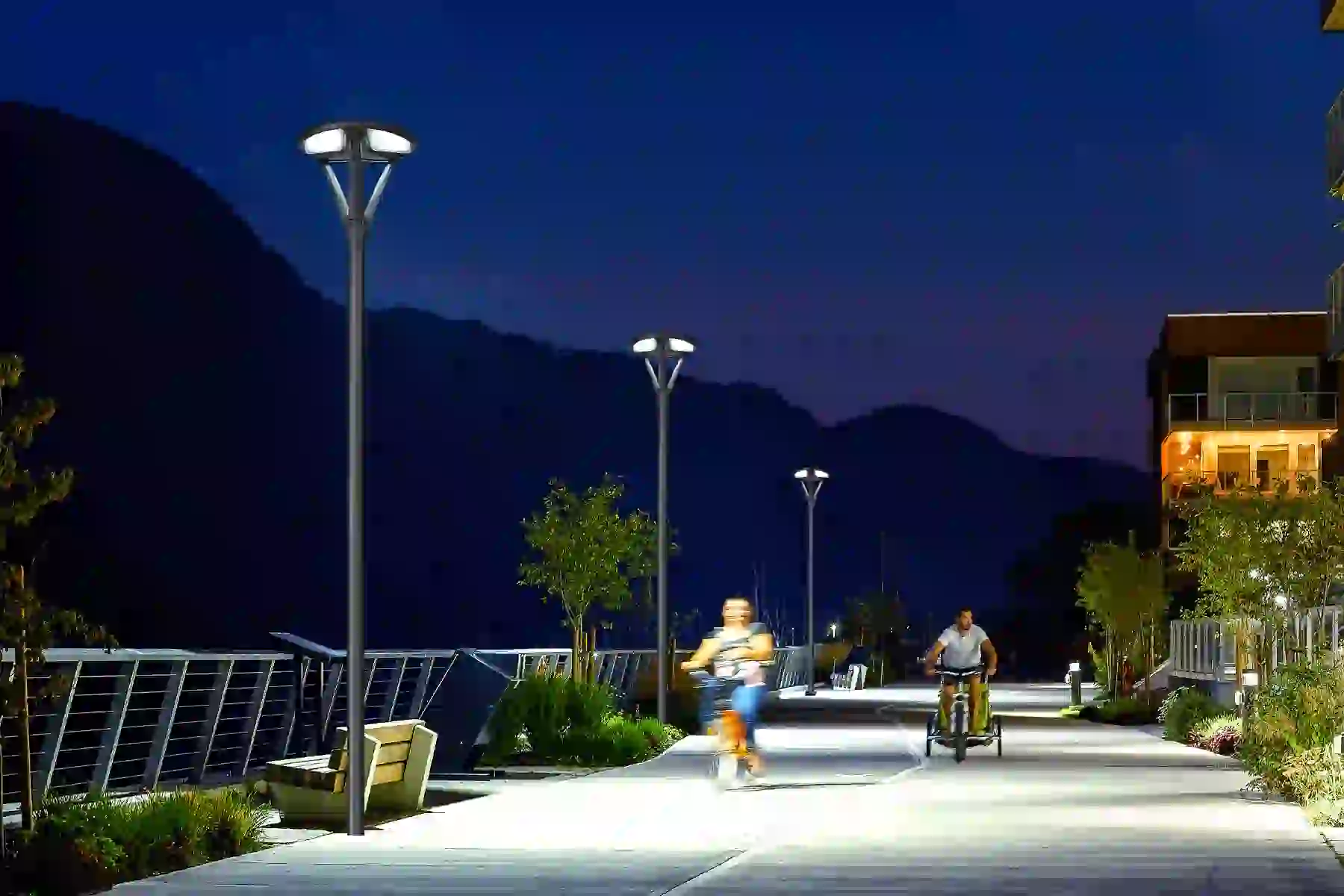 TYD-2609 solar lights along a garden path