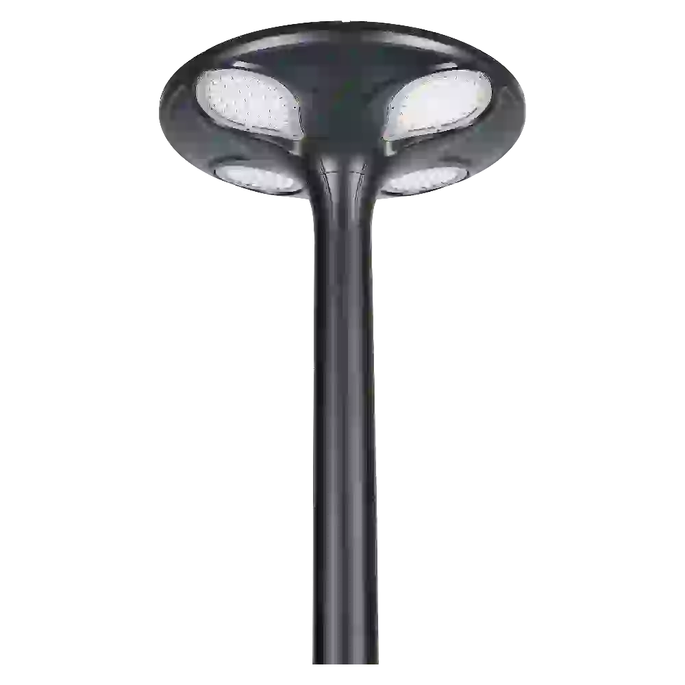 TYD-2806 product profile