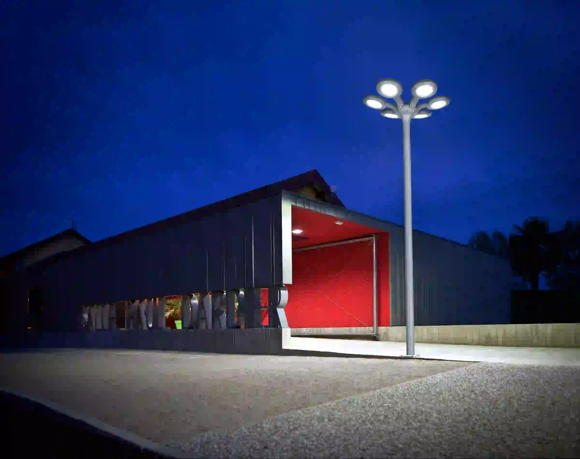 TYD-5106 solar lights lining a landscaped area