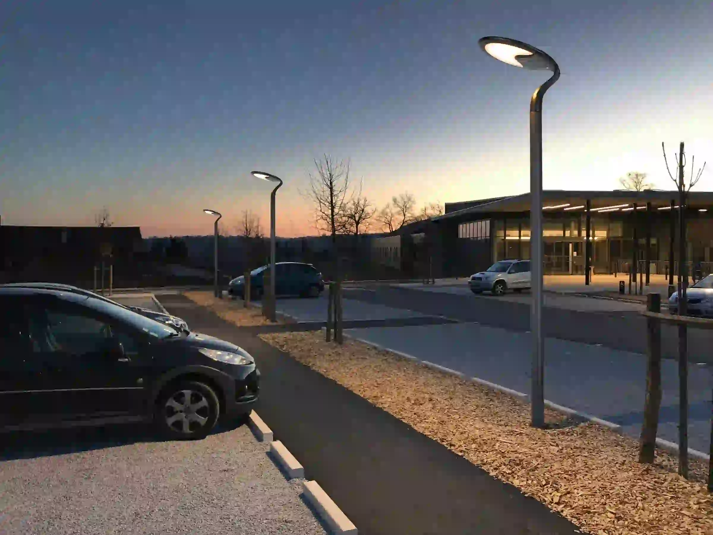 TYD-5108 solar lights lining a landscaped area